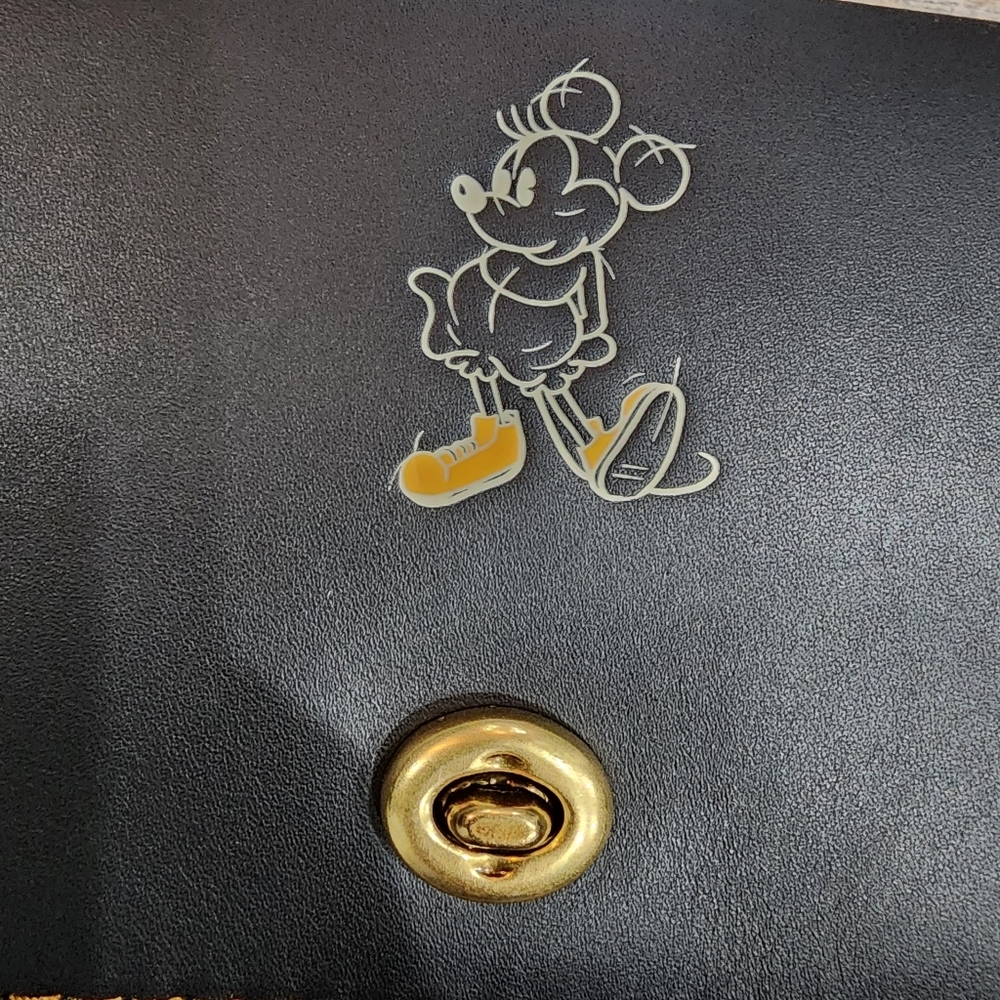 Disney X Coach Dinky - Picture 8 of 11